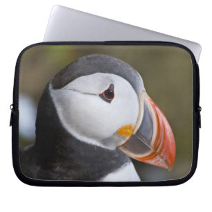 De Atlantische Papegaaiduiker, een pelagische zeev Laptop Sleeve
