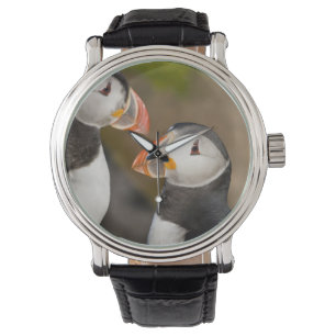 De Atlantische Papegaaiduiker Horloge