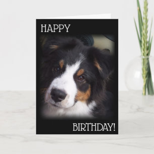 De Aussie Dog Birthday Kaart A1
