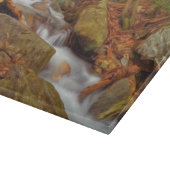 De Autumn rivier met waterval Snijplank (Hoek)