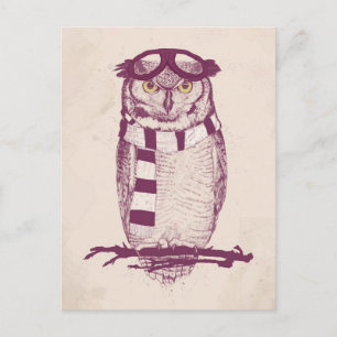 De aviator briefkaart