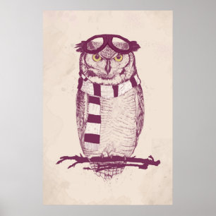 De aviator poster