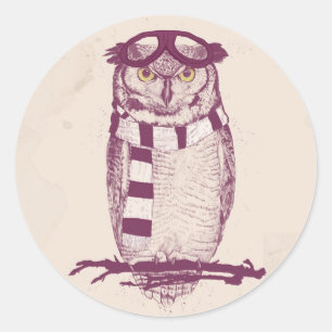 De aviator ronde sticker