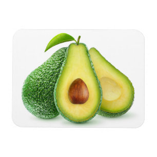 De avocado's van de besnoeiing magneet