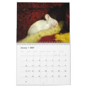 De avonturen van Peep Calendar Kalender (Jan 2027)