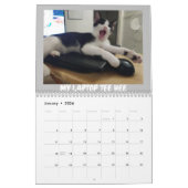 De avonturen van Skunky Luke Kalender (Jan 2026)