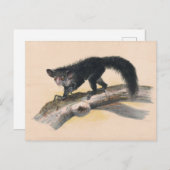De Aye-Aye van Joseph Wolf Briefkaart (Voorkant / Achterkant)