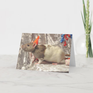 De b-Dag van de rat kaart