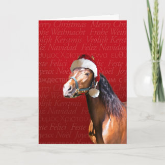 De Baai van de vakantie Feestdagen Kaart