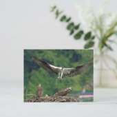 De baan wissen briefkaart (Staand voorkant)