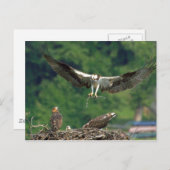 De baan wissen briefkaart (Voorkant / Achterkant)