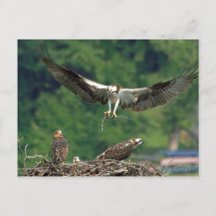 De baan wissen briefkaart