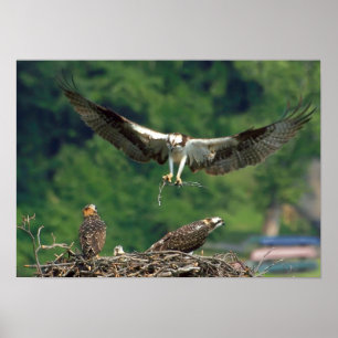 De baan wissen poster