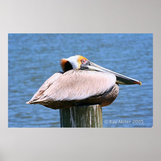 De baas poster (Voorkant)