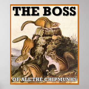 De Baas Van Alle Wangzangers Poster Bord