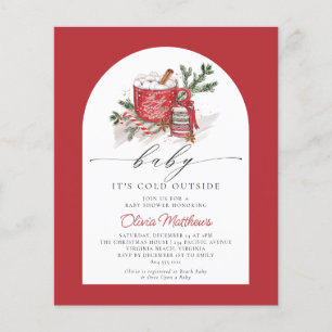 De Baby van de begroting het is Koude Buiten Baby Flyer