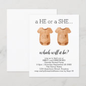 De babykleding van de begroting die ze onthult (Voorkant / Achterkant)