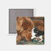 De babysitter magneet (Voorkant / Achterkant)