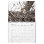De Bald Eagle Kalender (Jan 2026)