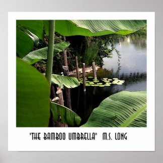 De bamboe-umbrella poster