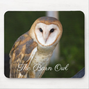 De Barn Owl Muismat