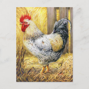 De Barn Rooster Briefkaart