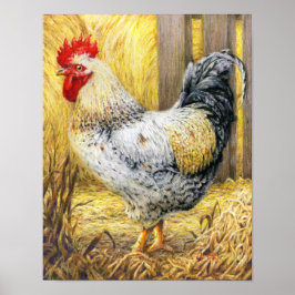 De Barn Rooster Poster