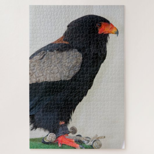 De Bateleur Eagle Legpuzzel (Verticaal)