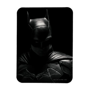 De Batman in Shadow Magneet