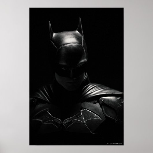 De Batman in Shadow Poster (Voorkant)