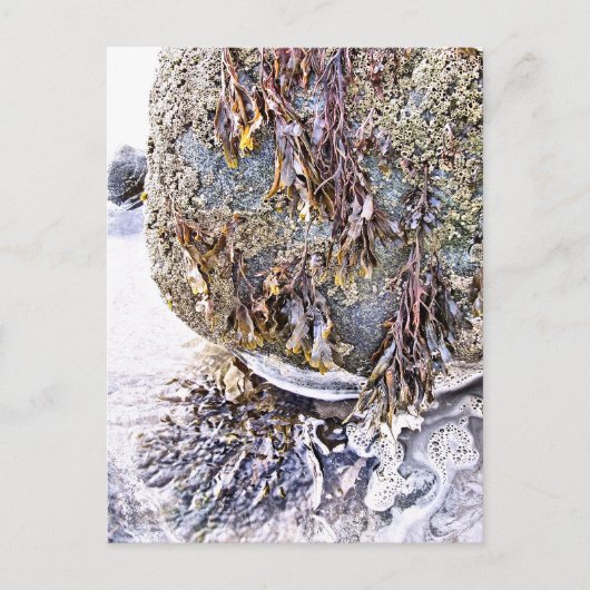 DE BEACH BRIEFKAART (Voorkant)