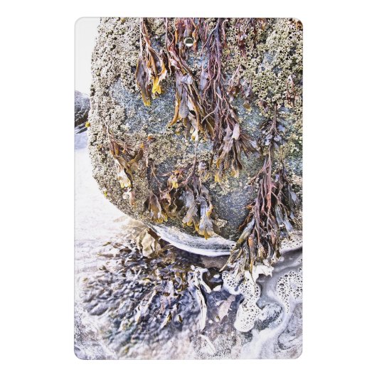 DE BEACH MINI KLEMBORD (Achterkant)