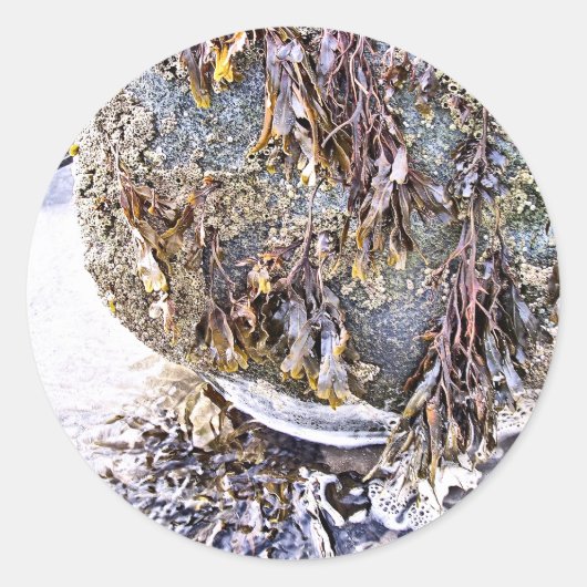 DE BEACH RONDE STICKER (Voorkant)