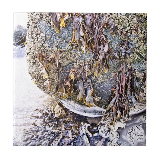 DE BEACH TEGELTJE (Voorkant)