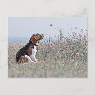 De beagle briefkaart