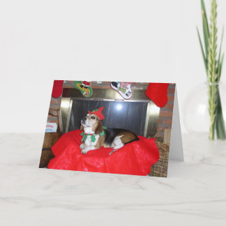 De Beagle Kerst Elf Feestdagen Kaart