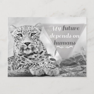 De bedreigde luipaard beschermt het Briefkaart van