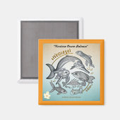 De bedreigde Pareltjes van de oceaan Magneet (Voorkant / Achterkant)