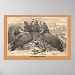 De beelden poster