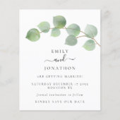 De begroting Elegant Eucalyptus verlaat sparen de (Voorkant)