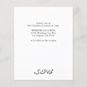 De begroting zwart-wit annuleert of verandert de D Flyer (Achterkant)