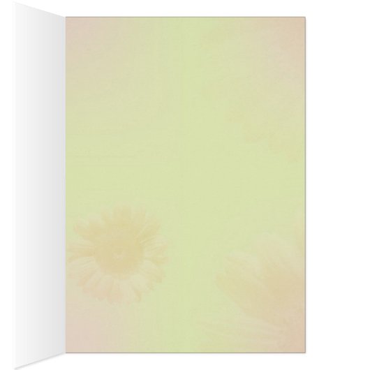 DE BELLES EXPRESSIONS (Intérieur (Droit))