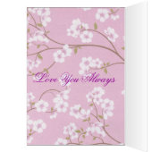 DE BELLES EXPRESSIONS (Intérieur (Gauche))