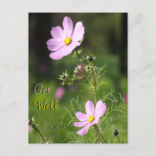 De Belles Fleurs De Cosmea Se Bien Bientôt Carte P