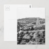 De berg olijven in Jeruzalem Briefkaart (Voorkant / Achterkant)