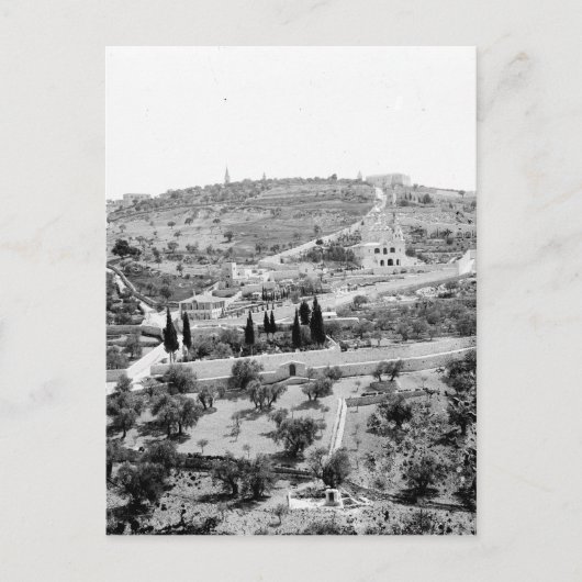 De berg olijven in Jeruzalem Briefkaart (Voorkant)