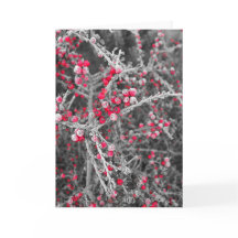 De berijpte Kaart van Bessen