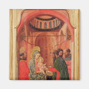 De beschikking magneet