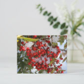 De Bessen van de winter Briefkaart (Staand voorkant)