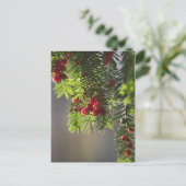 De bessen van het taxushout briefkaart (Staand voorkant)